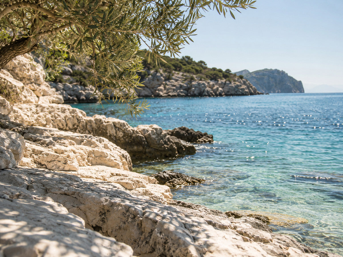 Sunlit limestone and turquoise coastal water.